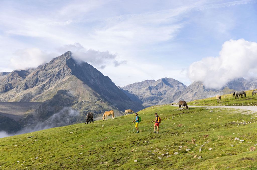 Escursionismo a Kuhtai Foto Innsbruck Tourismus Daniel Zangerl, Innsbruck Tourismus
