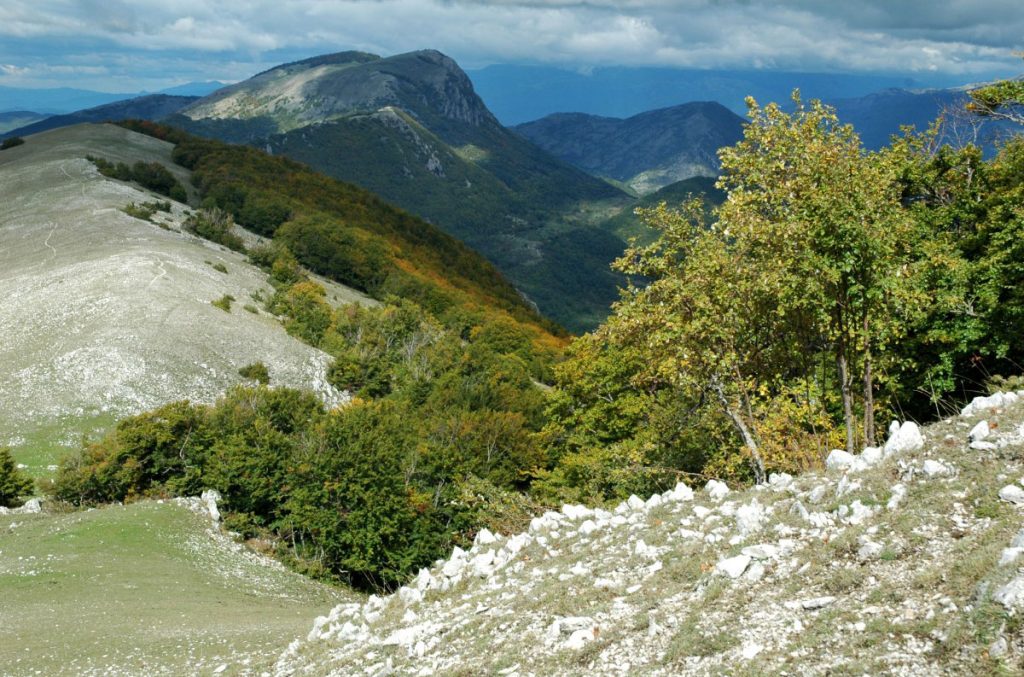 Monte Navegna dalla vetta di Monte Cervia, foto Stefano Ardito