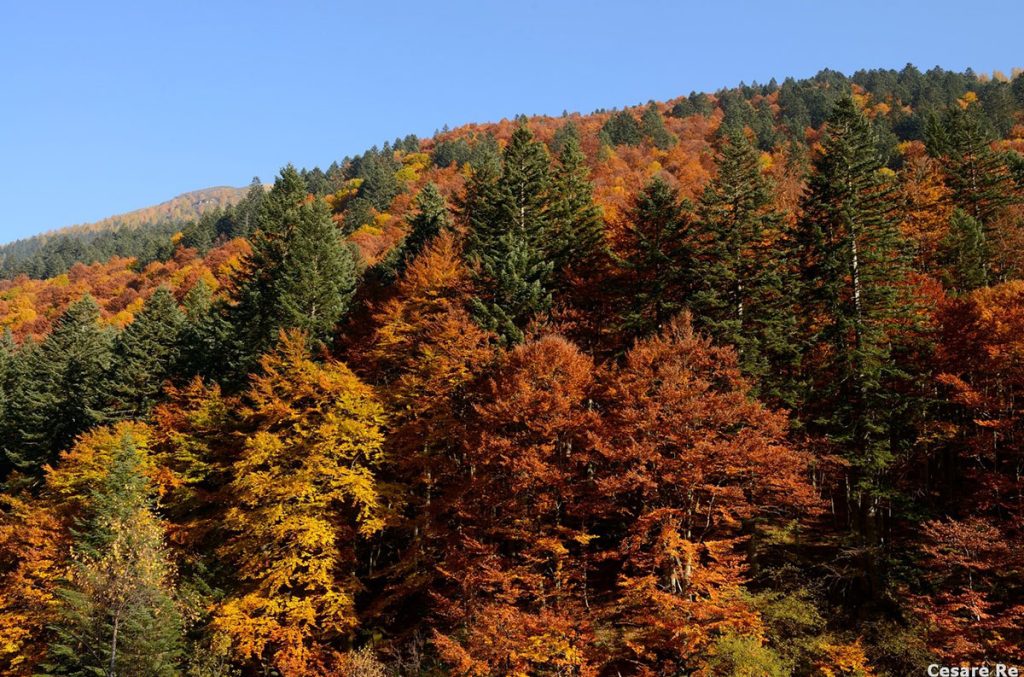 I colori della Val Sorba Foto Cesare Re