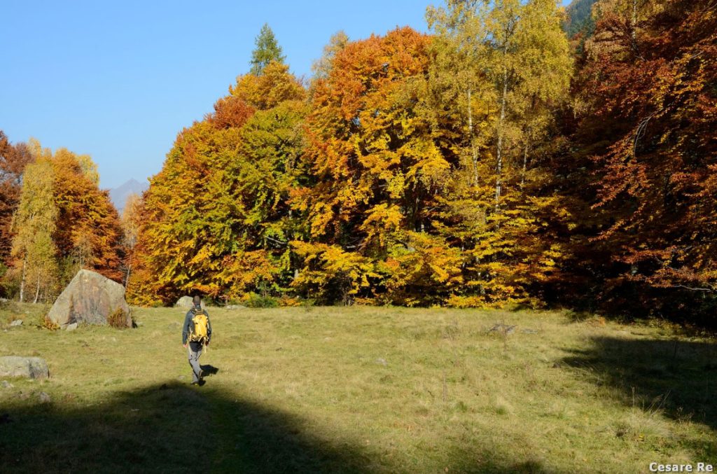 In discesa verso Rassa. Foto Cesare Re