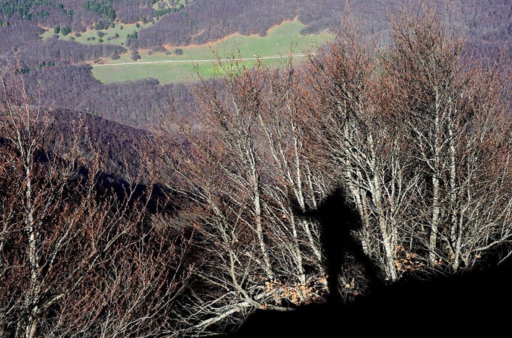 Faggi, ombra e il Pian delle Macinare dal sentiero - Foto Stefano Ardito