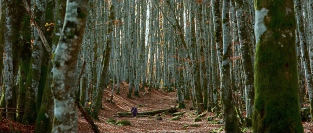 Estese foreste sono lo sfondo di molte scene
