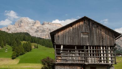 Un tipico maso della Val Badia, con le Dolomiti sullo sfondo. La fotocamera era perfettamente in bolla. E’ la costruzione che era moderatamente storta e inclinata, per gli effetti degli anni. 1/160 sec; f/13; iso 100. Nikon D300; Nikkor 24.120 AFD; 3,4/4,5.