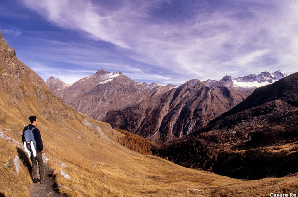 Grivola e catena del Gran Paradiso Foto Cesare Re