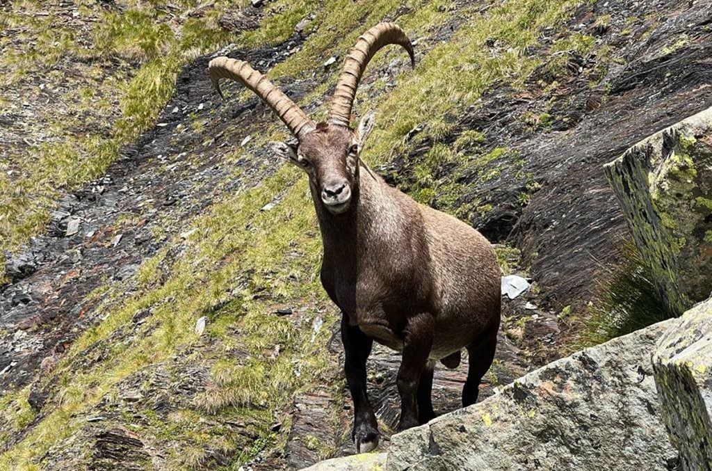 Incontri - @Paolo Valoti