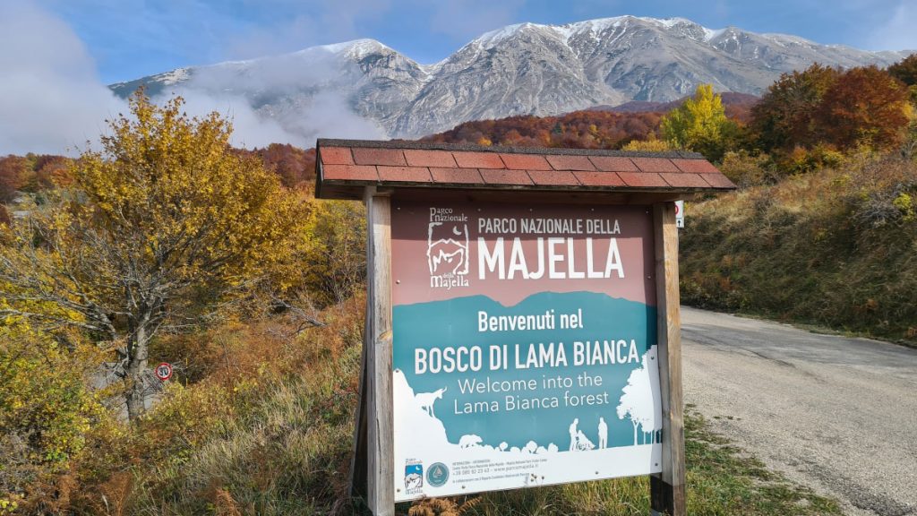 Il Bosco di Lama Bianca, foto Stefano Ardito