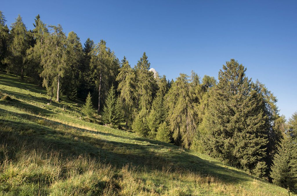 Lungo la via di salita Foto Roberto Carnevali