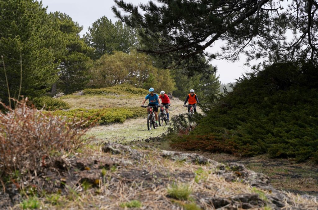 Lungo la pista Altomontana dell