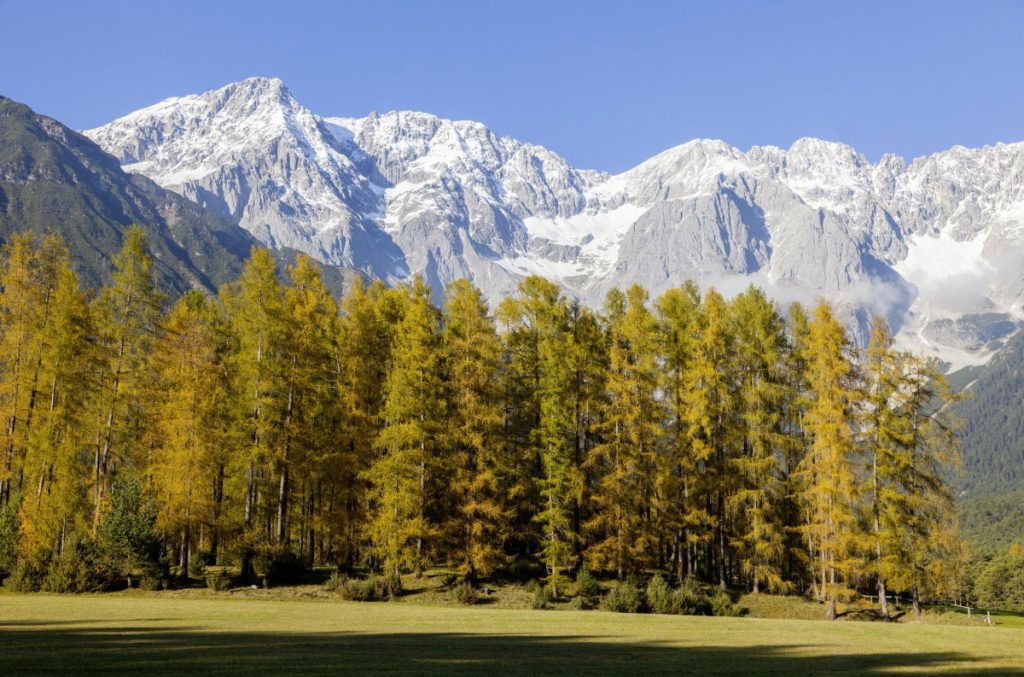 Mieming in autunno Foto Klaus Kranebitter Innsbruck Tourismus