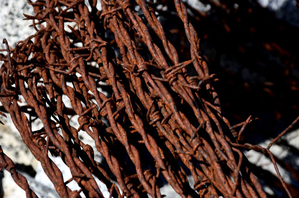 Cima Presena, reticolati, foto Stefano Ardito