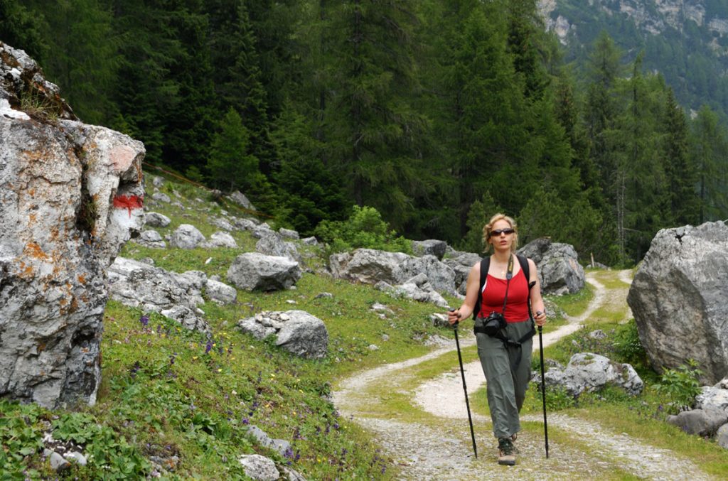 Il semplice sentiero che conduce alle malghe - @ Cesare Re