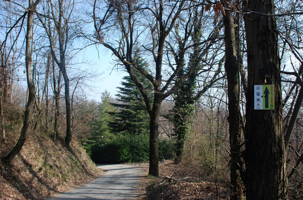 Anche comodi tratti su strade bianche @Cammino Don Bosco