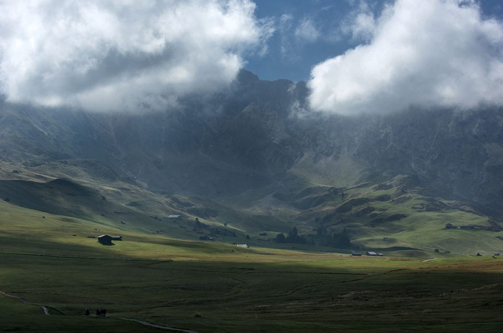 I vasti pascoli dell