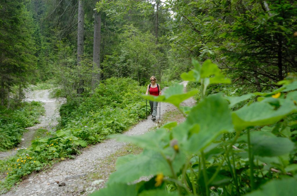 Verso Malga Flavona - @Cesare Re