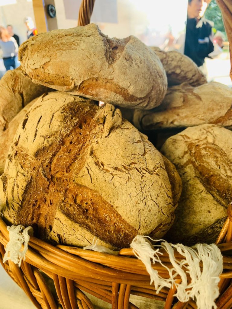 credit Alex Maiolino