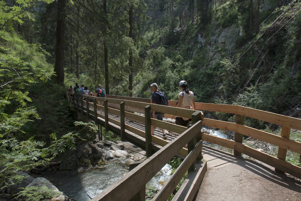 Uno dei ponti nel tratto iniziale credit Roberto Carnevali