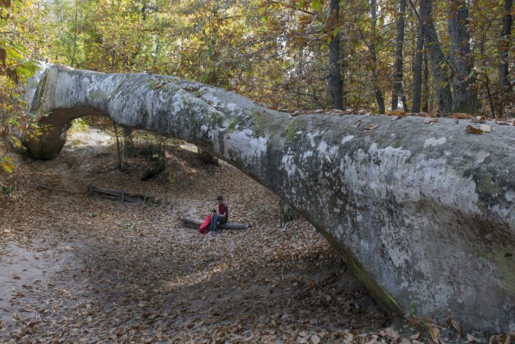 Il Ponte del Diavolo Foto Roberto Carnevali