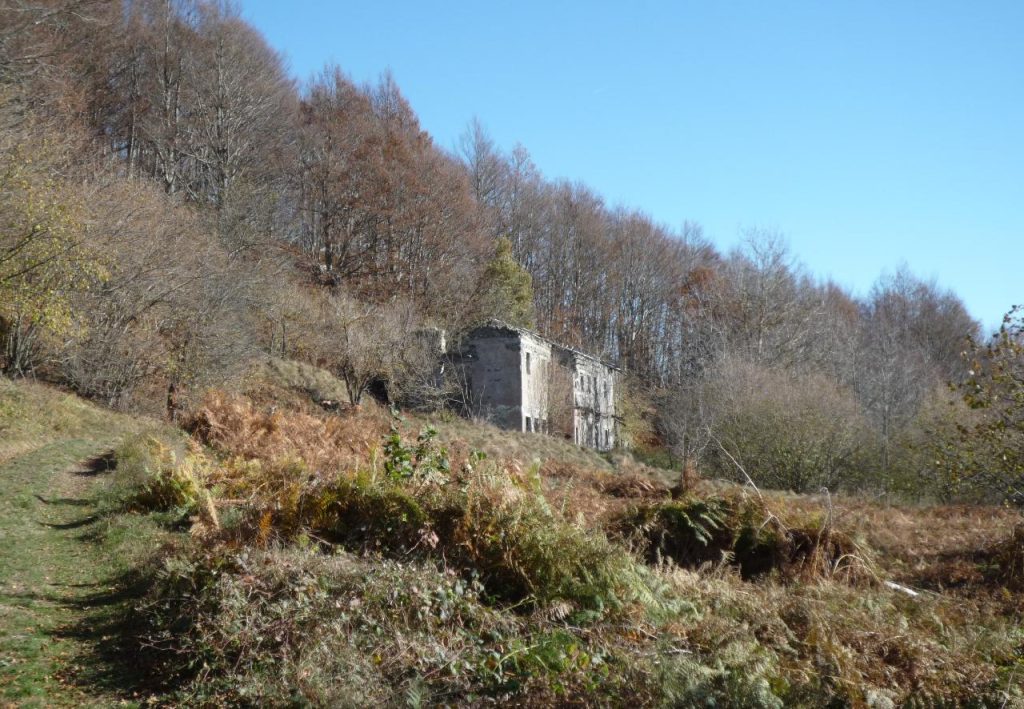 Casa Buscaglia, foto Lorenzo Volpe