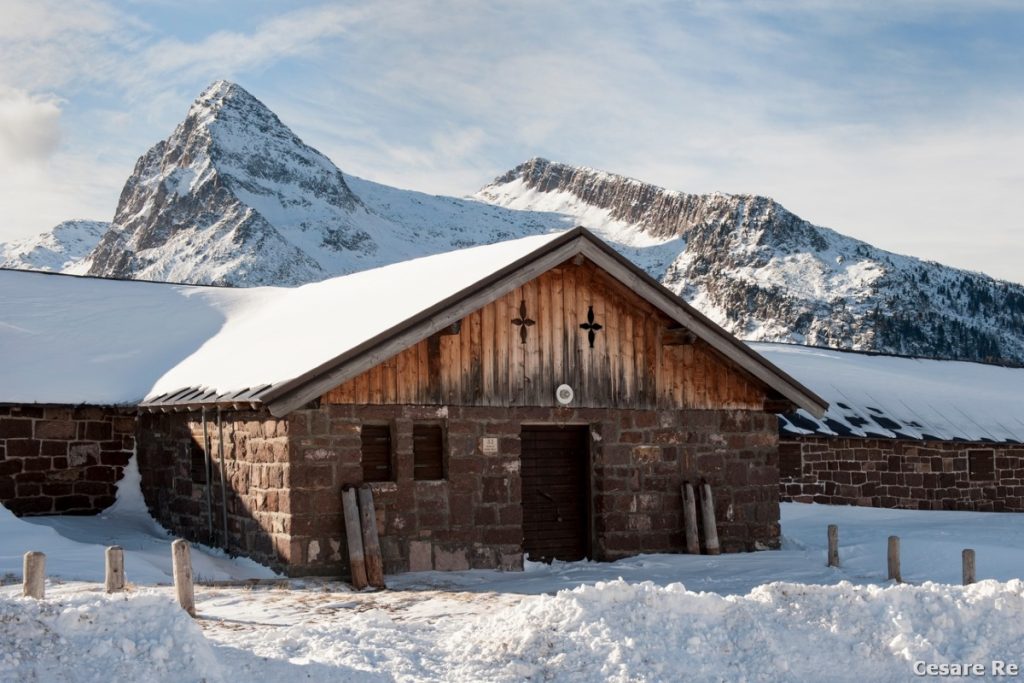 Cima Colbricon. foto Cesare Re