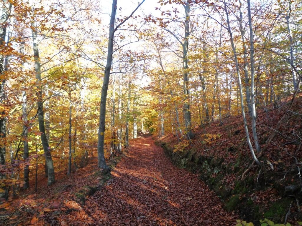 Costa della Beretta, foto Lorenzo Volpe