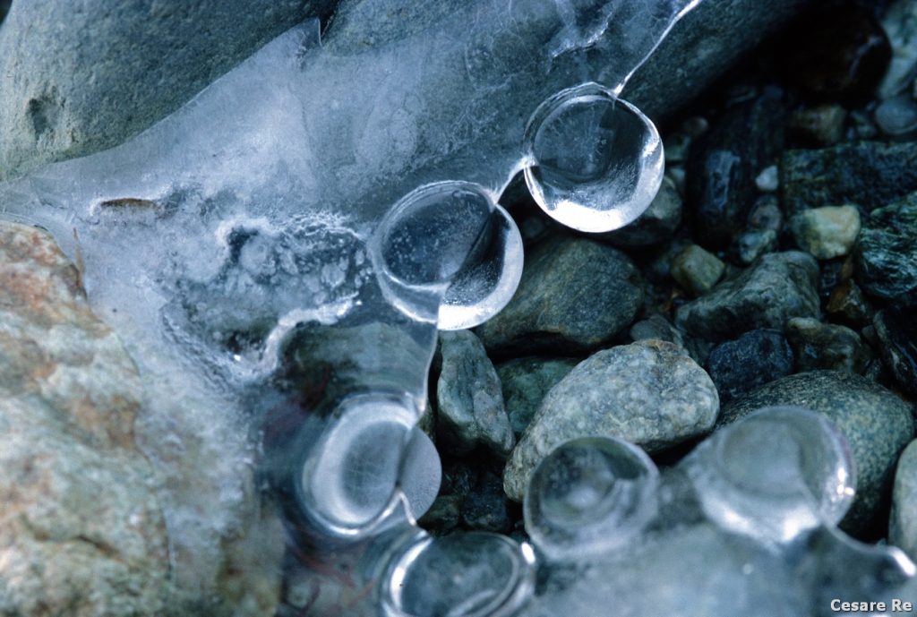 Gocce di ghiaccio. Un soggetto piuttosto raro da trovare e, comunque, sempre molto piccolo. Nikon F90X; Micro Nikkor 60 2,8 AF; Fujichrome Velvia 50. 