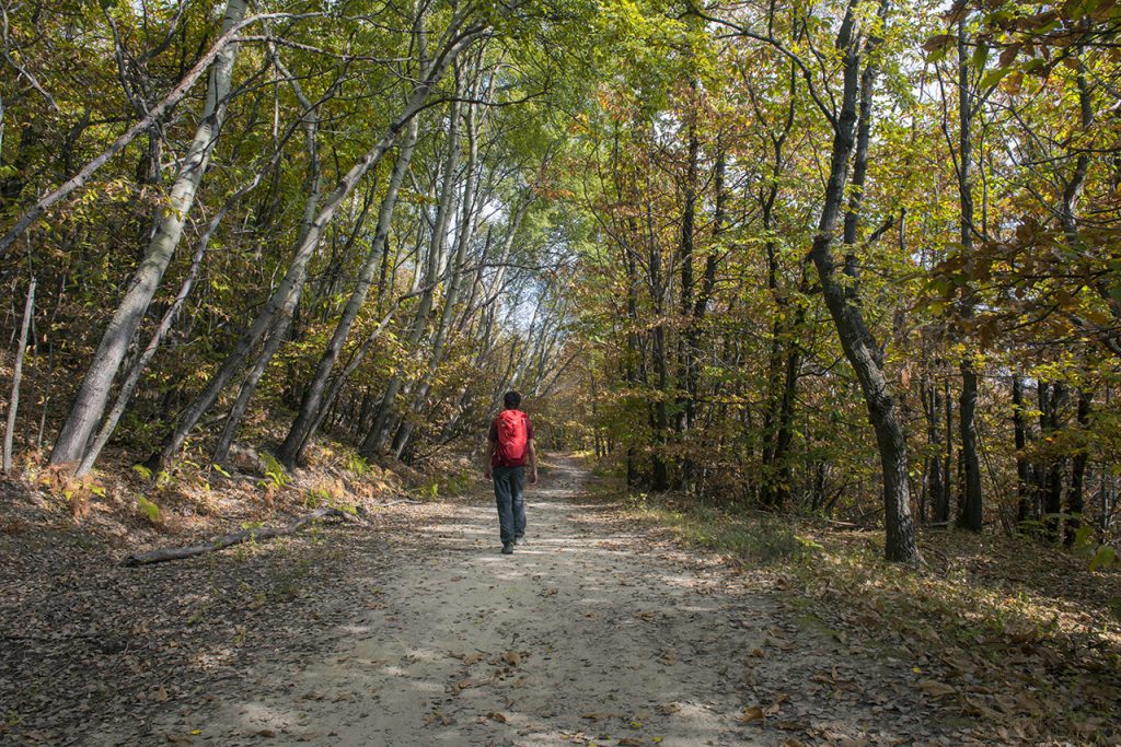 Foto Roberto Carnevali
