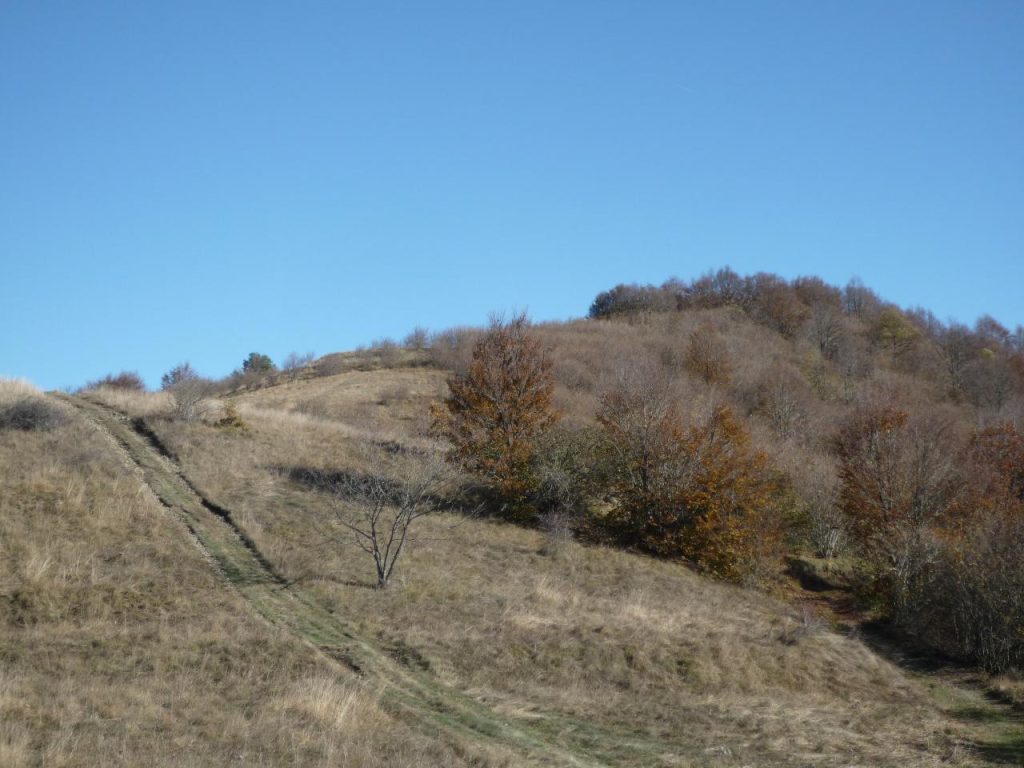Il Basson, foto Lorenzo Volpe