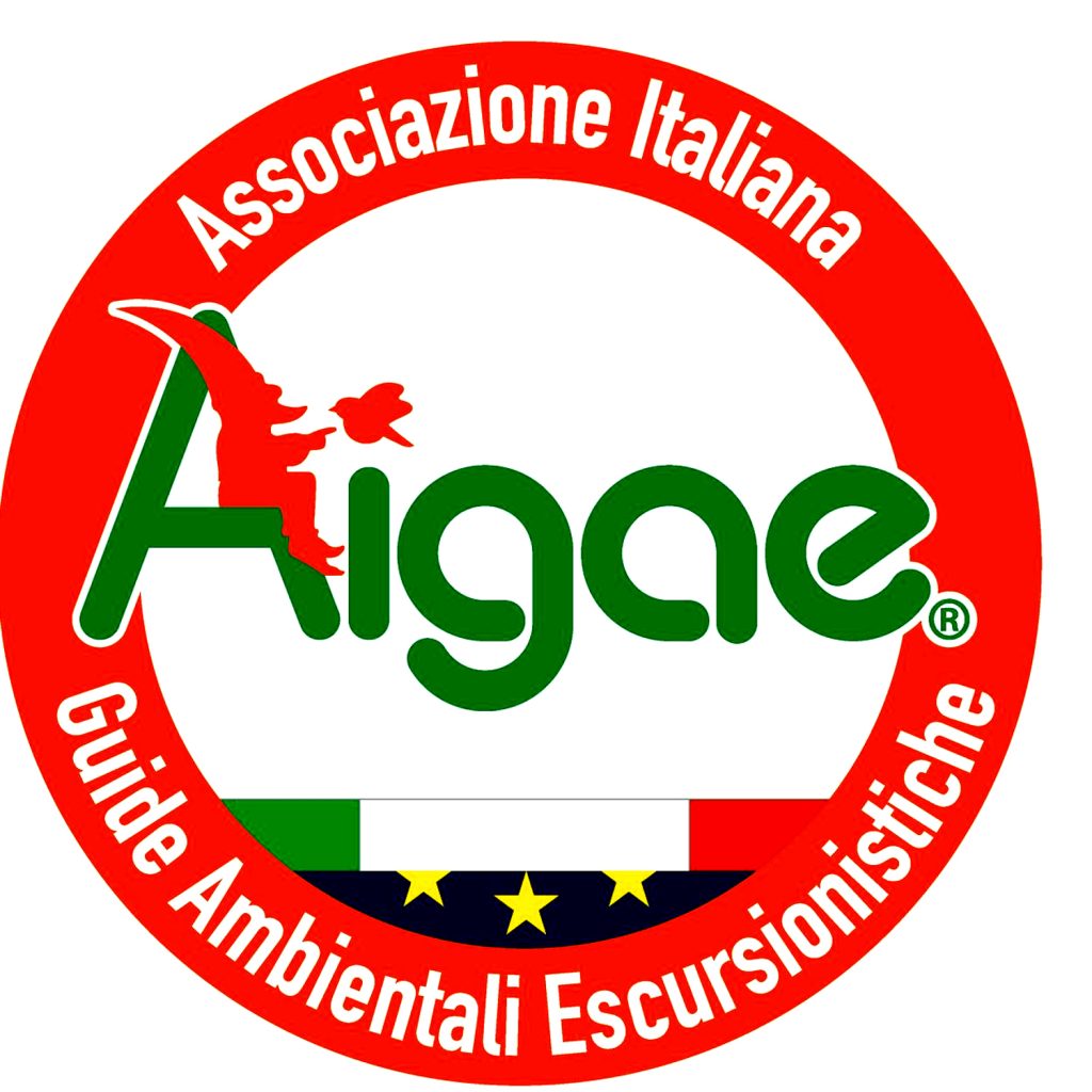 Il logo di AIGAE