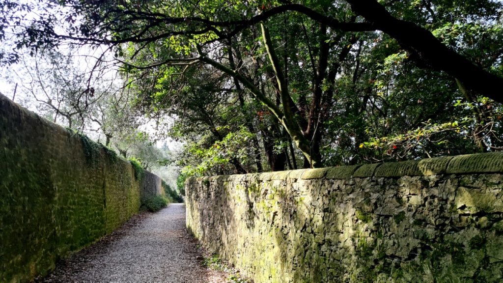 Il viottolo che conduce a Monte Ceceri, foto foto Stefano Ardito