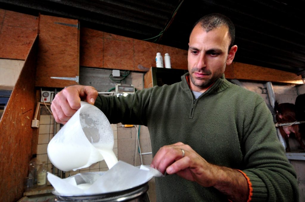 Ilanya, mungitura delle capre , foto Stefano Ardito