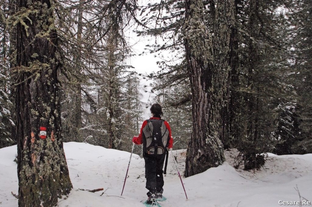 In Vallunga, Foto Cesare Re