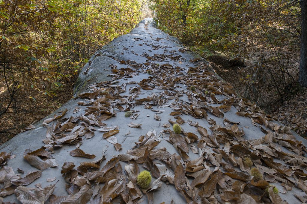 La parte calpestabile del Ponte del Diavolo. Foto Roberto Carnevali