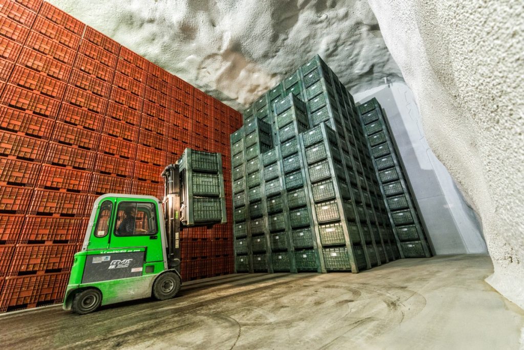 Le celle ipogee dove vengono stoccate le mele @Archivio Consorzio Melinda