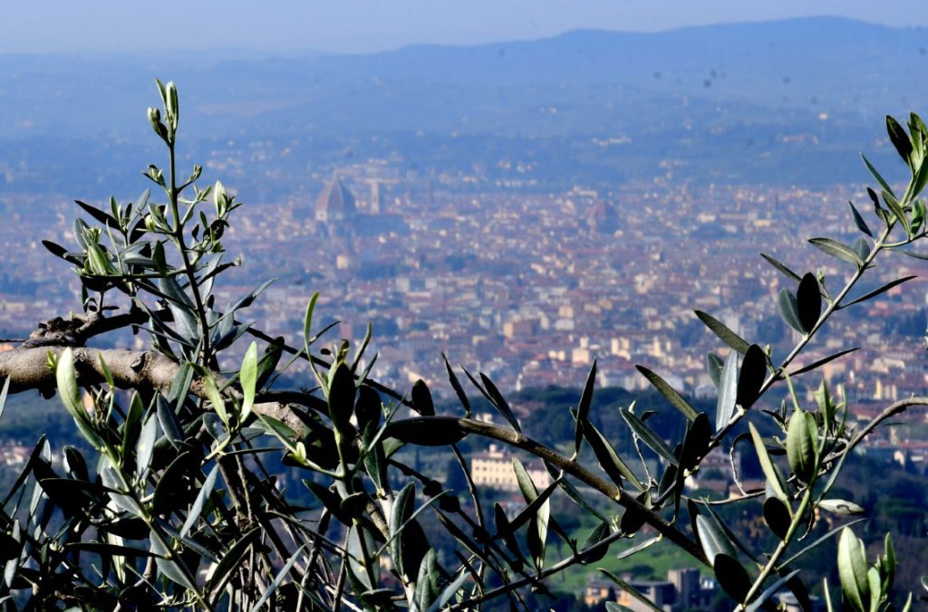 Firenze da Monte Ceceri, foto foto Stefano Ardito