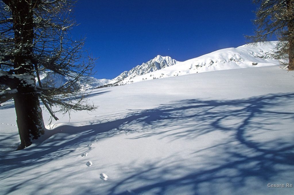I pendii della valle, ideali per le ciaspole con il Monte Faroma sullo sfondo. Foto Cesare Re