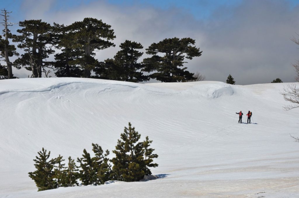 Inverno alla Grande Porta del Pollino. Foto Stefano Ardito