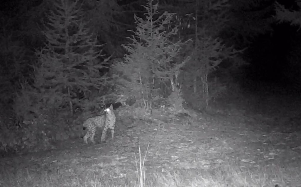 Un frame del video @PNGP