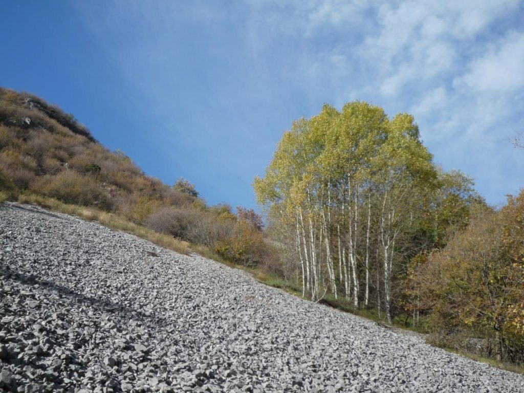Valle Scumbes , foto Lorenzo Volpe
