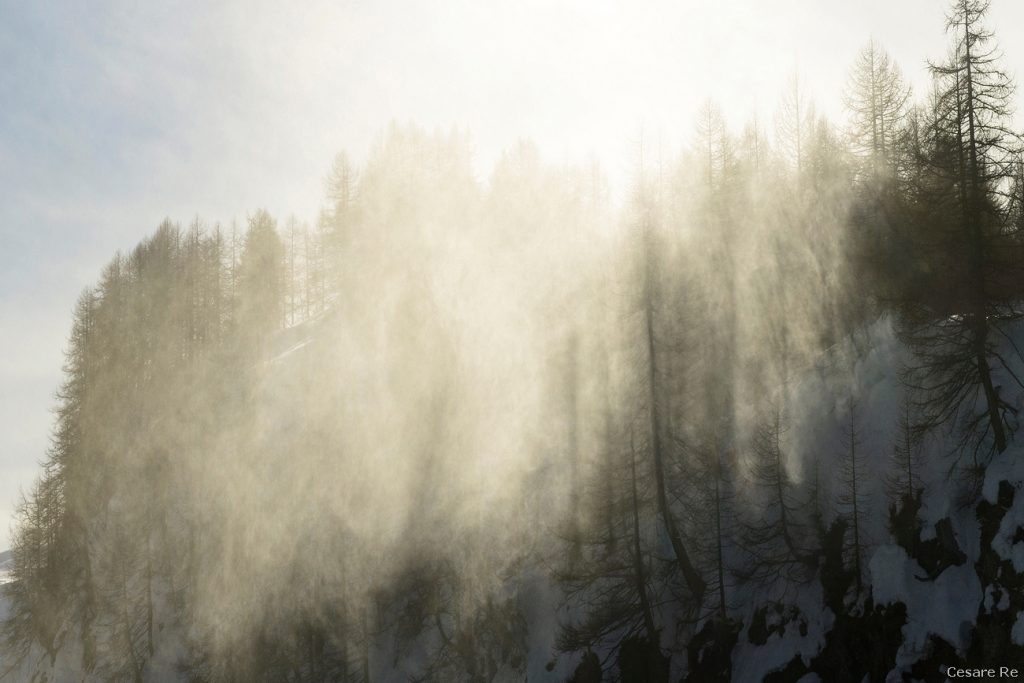 Una folata di vento alza la neve che corre tra i larici secchi, nella località di Crampiolo, all’Alpe Devero. A volte è il vento che disegna forme inconsuete e rende la foto diversa e attraente. Nikon D800; Nikkor 24-70 f 2,8 AFG; 1/500; f/11; ISO 100.