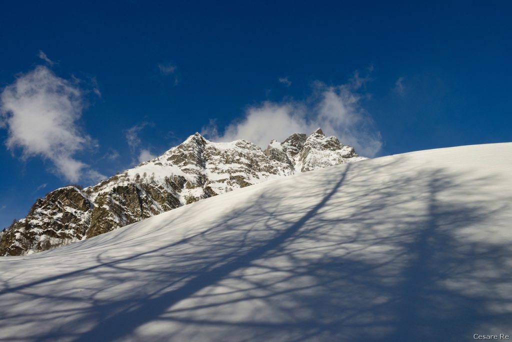 In pieno inverno, i larici se non sono innevati perdono fascino, dal punto di vista estetico. A volte, può essere interessante cercare di raccontarli in maniera diversa. In questo caso, ho sfruttato l’ombra dell’albero sulla neve. Il larice diventa quasi una linea guida che conduce l’occhio dell’osservatore verso la cima. Nikon D800; Nikkor 24-70 f 2,8 AFG; 1/250; f/14; ISO 100.