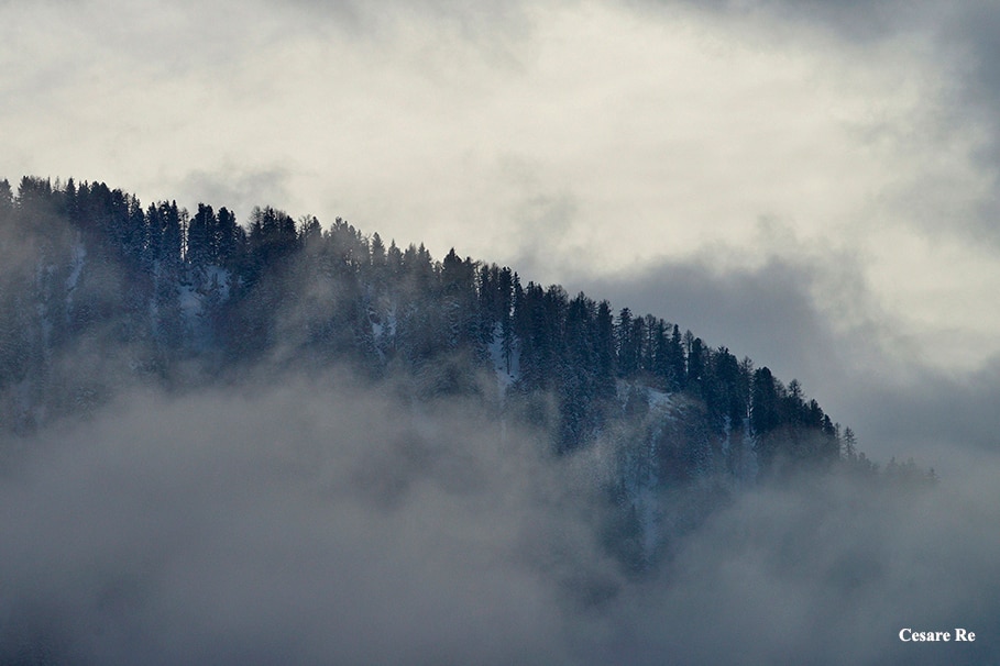 Al Passo Valles, tra Veneto e Trentino. Le nubi si diradano improvvisamente lasciando in vista un gruppo di abeti. Nikon D800; Nikkor 70-200 f4 AFG 1/2000 sec; f/9; ISO 320.