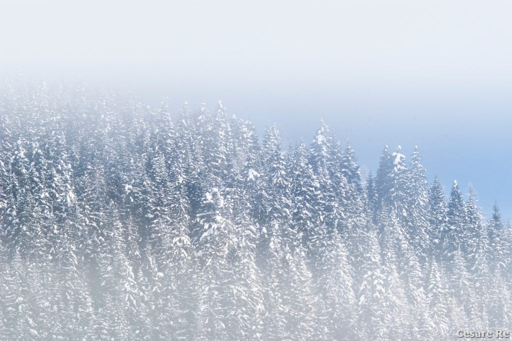 La nebbia si dirada, in Valle di Braies. Appena dopo una copiosa nevicata; Nikon D850; Nikkor 70-200 f4 AFG 1/200 sec; f/5,6; ISO 100. Treppiede. 