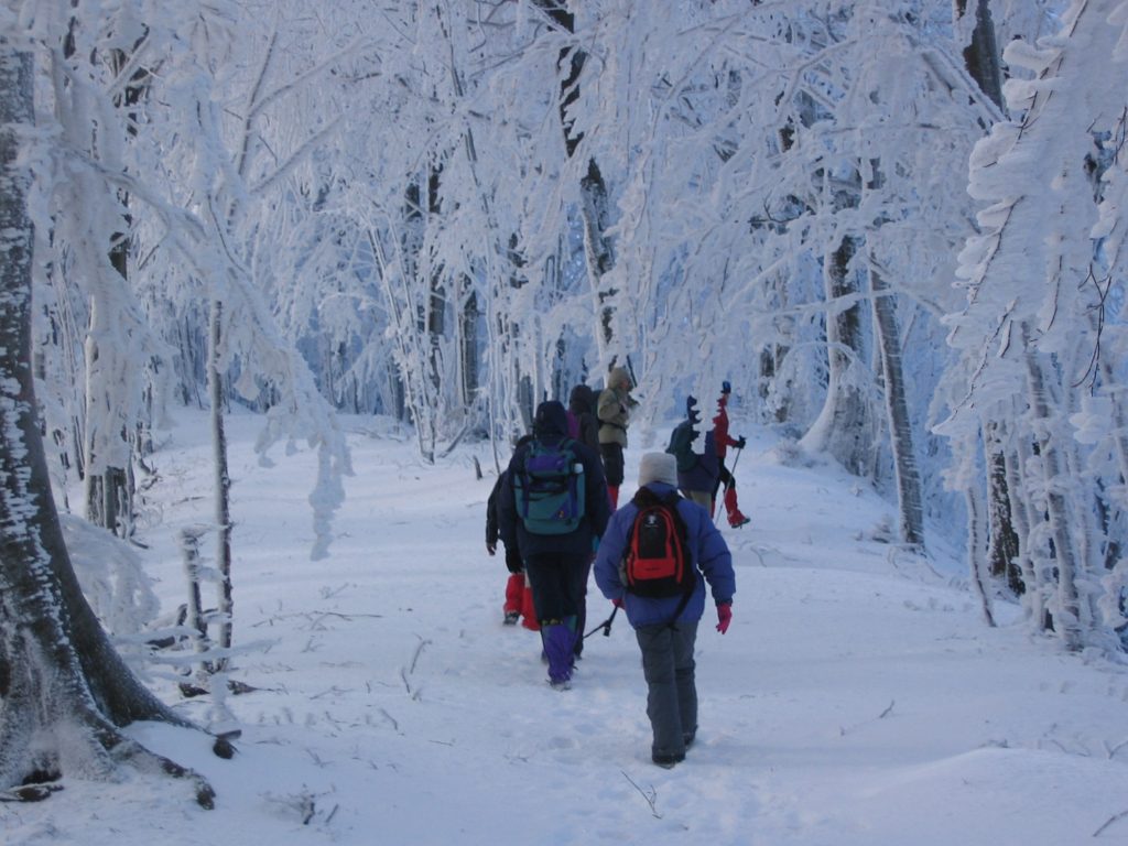 Escursione Parco Nazionale (fotografia di Gianluca Bambi)