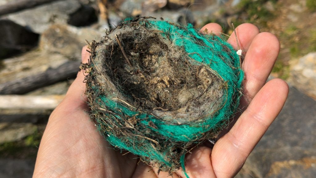 Il nido avvolto dalla plastica