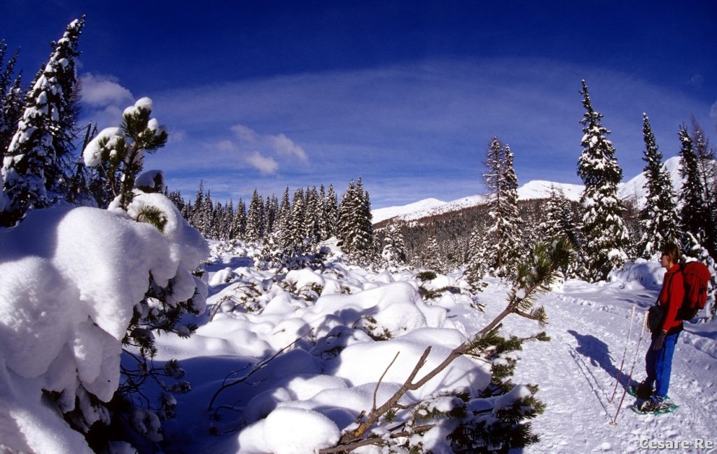 La pista è sempre battuta. Foto Cesare Re