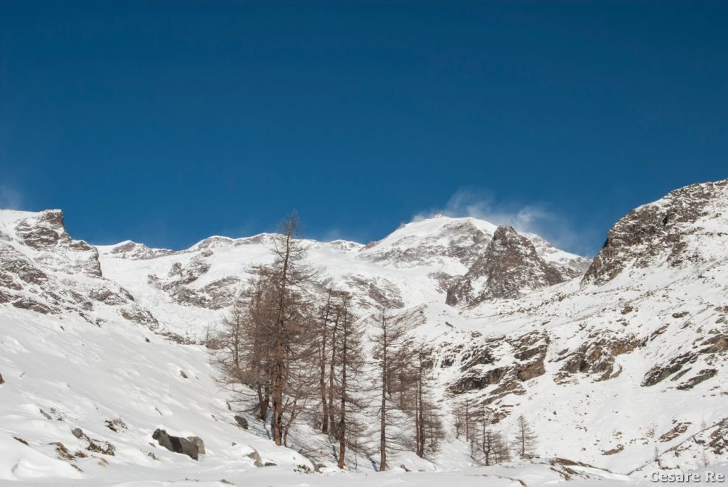 La testata del Monte Rosa salendo alle Falde del Lys. Foto Cesare Re