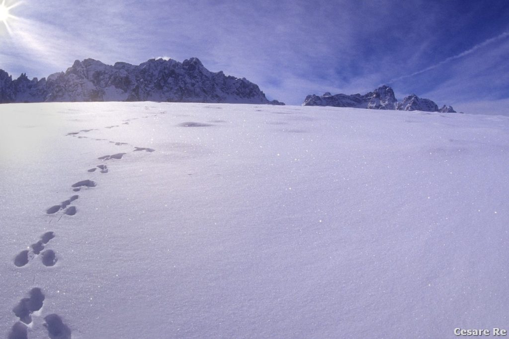 Le Dolomiti di Sesto. Foto Cesare Re