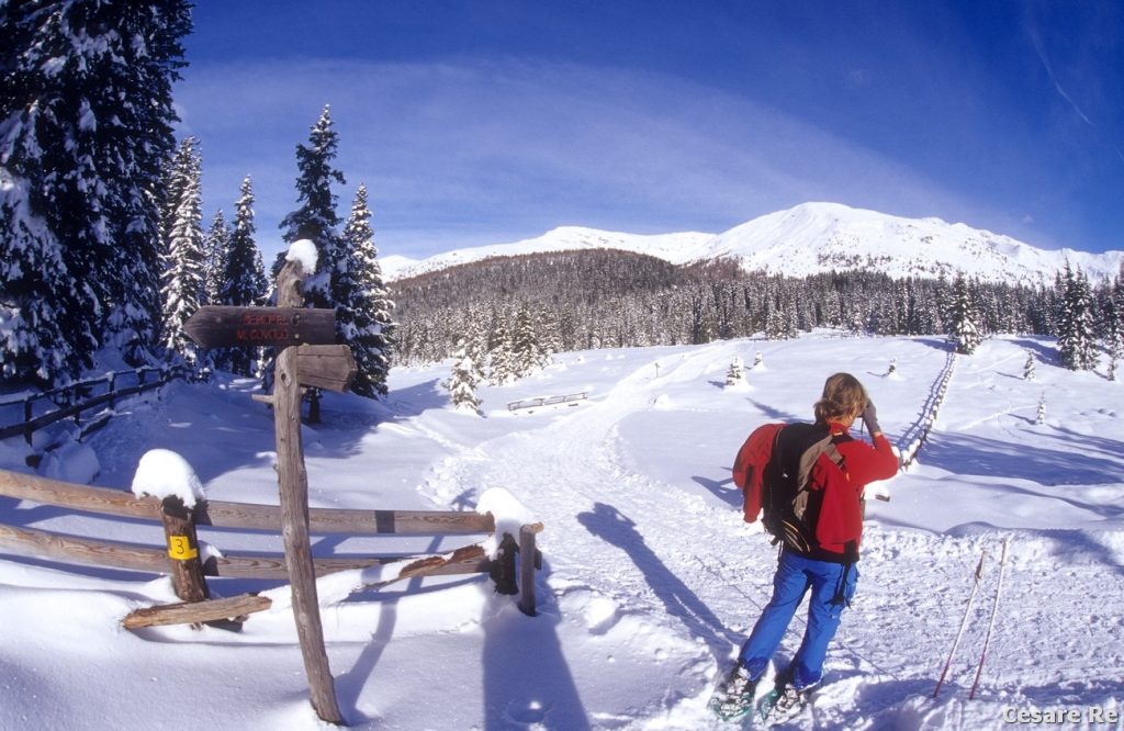Lungo la pista battuta. Foto Cesare Re
