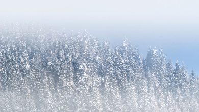 Fotografare in inverno