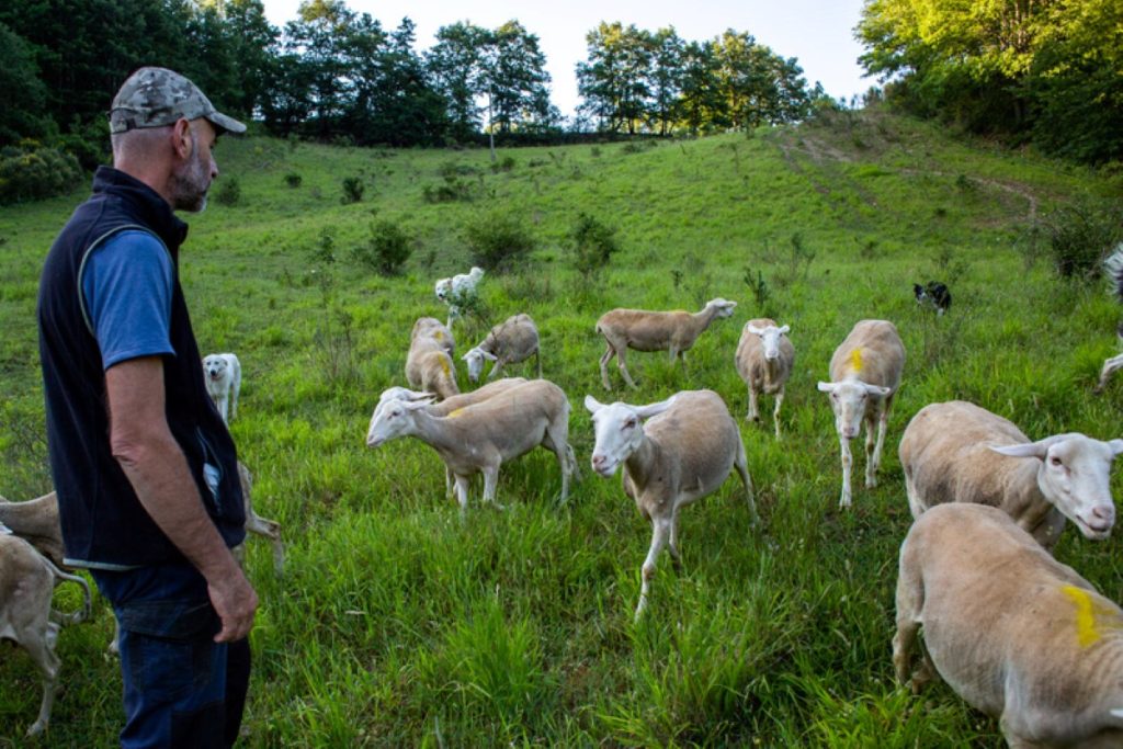 Molte ore di lezione sul campo. Foto M. Perini